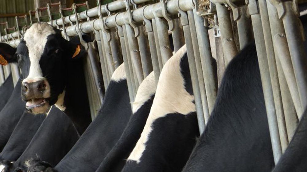 © Hélène Chaligne/GFA